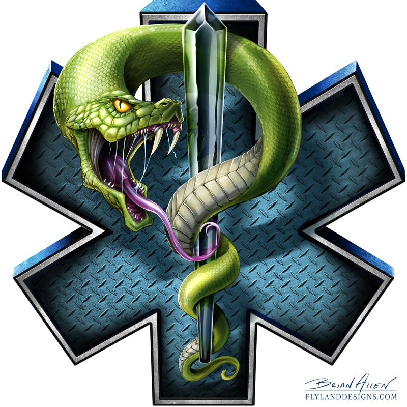 Ems star of life graphics flyland designs freelance illustration and
