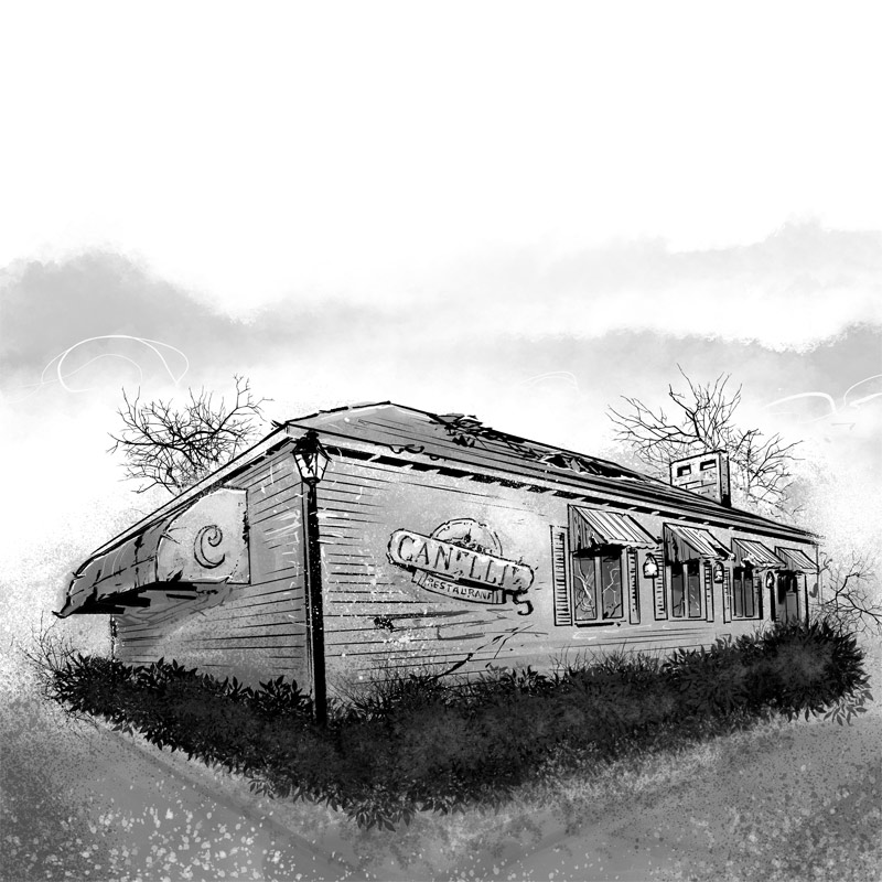 Illustrations for a novel I crea