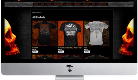 Total Domination Website design graphics